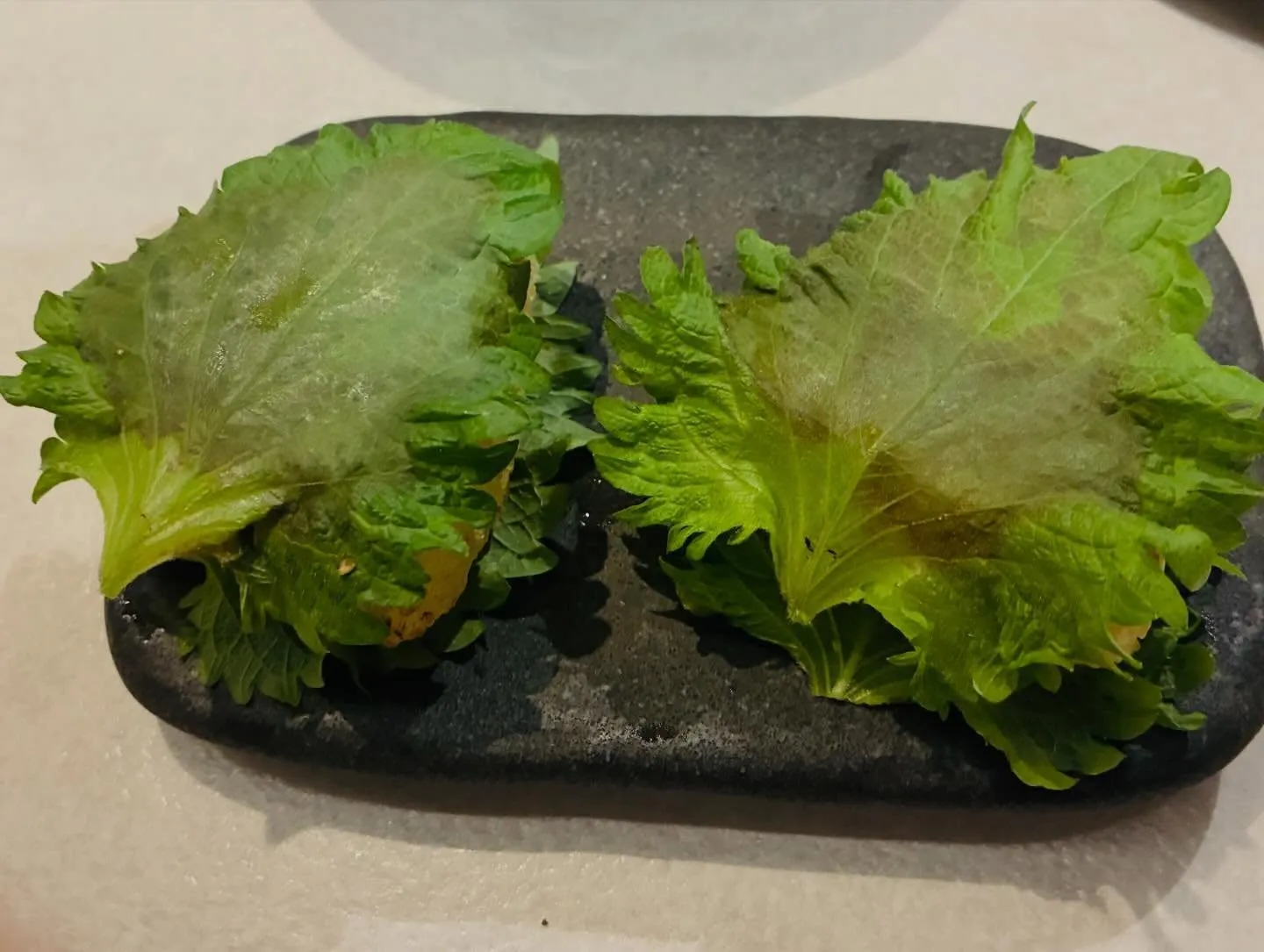 【おむすびバリエーション】もも吉/吉祥寺/日本酒/もも焼き/...